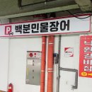 사암로 | 광주 장어 무한리필 가성비 월곡동 맛집 백분민물장어 수완운남점 후기