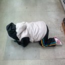 역전분식(벌교) 이미지