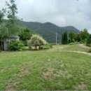 양평수목 이미지