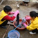 대호장목욕탕 이미지