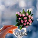 휠링 Daum카페