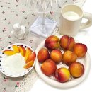 과채류마을 | 여름 제철과일 택배 과채팡팡 김천 로얄 대석자두 후기