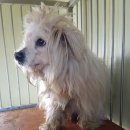 주포면사무소 이미지