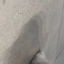 남산연합동물병원 이미지