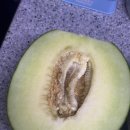 곽농장