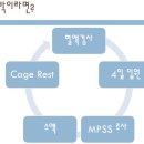 우진동물병원 이미지