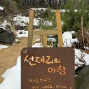 선제리의 아침 이미지