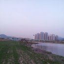 남양산철교밑 네이버블로그