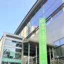 동백베이커리 | [동백역 카페] 안나비니 베이커리 신메뉴 솔직 후기! 화려한 시나몬롤부터 레몬 히비스커스 티까지🍋