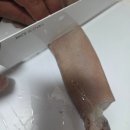 지담 | 통통한 통오징어찜 집에서도 식당처럼 즐기기! 산지담 통오징어 솔직 후기 산지담