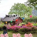 사나사(사찰 앞) | 경기도양평 가볼만한곳 사나사 계곡 사찰 주차팁까지 몽땅!