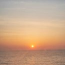 별자리 조형물(12 | [묵호 여행] 1박 2일 뚜벅이 묵호 여행 일정 및 경비 내역 공유 🌊 묵호 스테이용궁131 방문 후기