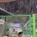 초이스쉼터 이미지