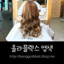 에이치앤코 이미지