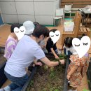 헬렌도론일산학원