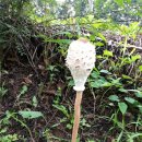 해랑 어린이집(어린이집) 이미지