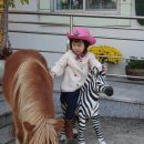 사이언스 미니어처 이미지