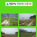 해남목장 이미지