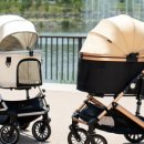 정선가축병원 이미지