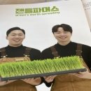 의성늘보 | 건강먹거리 선물하기 지역특산품 로컬마켓 의성군 의성늘보에서 선물구매 후기