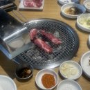 찬미회물회 이미지