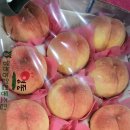 백도 Daum카페