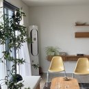 동광의계절 이미지