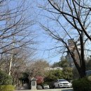 산정 | w5. 김해 산정 상견례 후기ㅣ상견례 선물추천