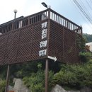 비올레띠 이미지