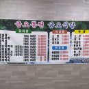 금오식당민박 네이버블로그