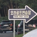 골프존카운티 오라 골프 연습장 | 오라골프연습장에서! 골프존카운티 오라cc 실외...천연 잔디 250야드 전장 이용 후기 위치 요금 운영 시간