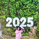 홍수식당 | 엄마랑 다낭 자유여행 우기에 홍수나서 일정 전면 수정 #3일차 오행산, 샌디힐스파, 안방비치 탄팟...