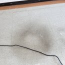 이앤씨벤처드림타워5차 이미지