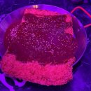 신철원8 2소교량 | 철원 닭발 배달 맛집 ㅣ 쑤템플