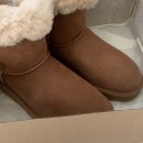 미국 어그부츠 UGG 클래식 숏2 체스트넛 6사이즈 팁 , 착용샷 후기