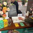 랭귀지시티학원 | [호주 어학연수 6-7DAY] 멜버른에서 제일 예뻤던 하루🌸 + 친구만들기!🇰🇷 🇯🇵
