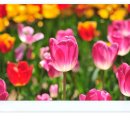 안델센, 동화의나라 이미지