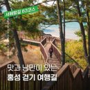 Re: 11월23일(넷째토)홍성 남당항 코리아 둘레길 서해랑길 63코스 이벤트 좌석방 안내 이미지