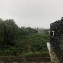 콴도제주