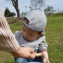 재하목장 이미지