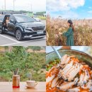 제주도 택시투어 추천 제주 카니발 렌트 비용