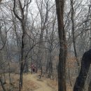 약동안양 | 여행장소추천 _최악의 미세먼지속에 바위타고 살방살방 다녀온 삼성산 겨울산행 후기 (2022.1.9)