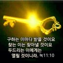 하늘과열매(주) 이미지