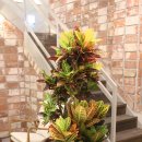 중앙동128 이미지