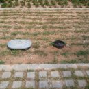 칠갑산오토캠핑장 이미지