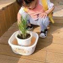 (주)태양어린이집 이미지