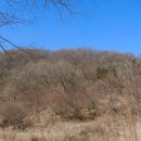 4 계절 Daum카페