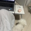 촌칭구짬뽕 | [OCT] 10월 첫 나들이