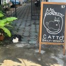 스트리트퍼니처 | [태국/치앙마이] 5박7일 자유여행 | ② Day2 일정 : 블루누들, 바트커피, 찡짜이마켓...