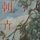 안경지식인 이미지